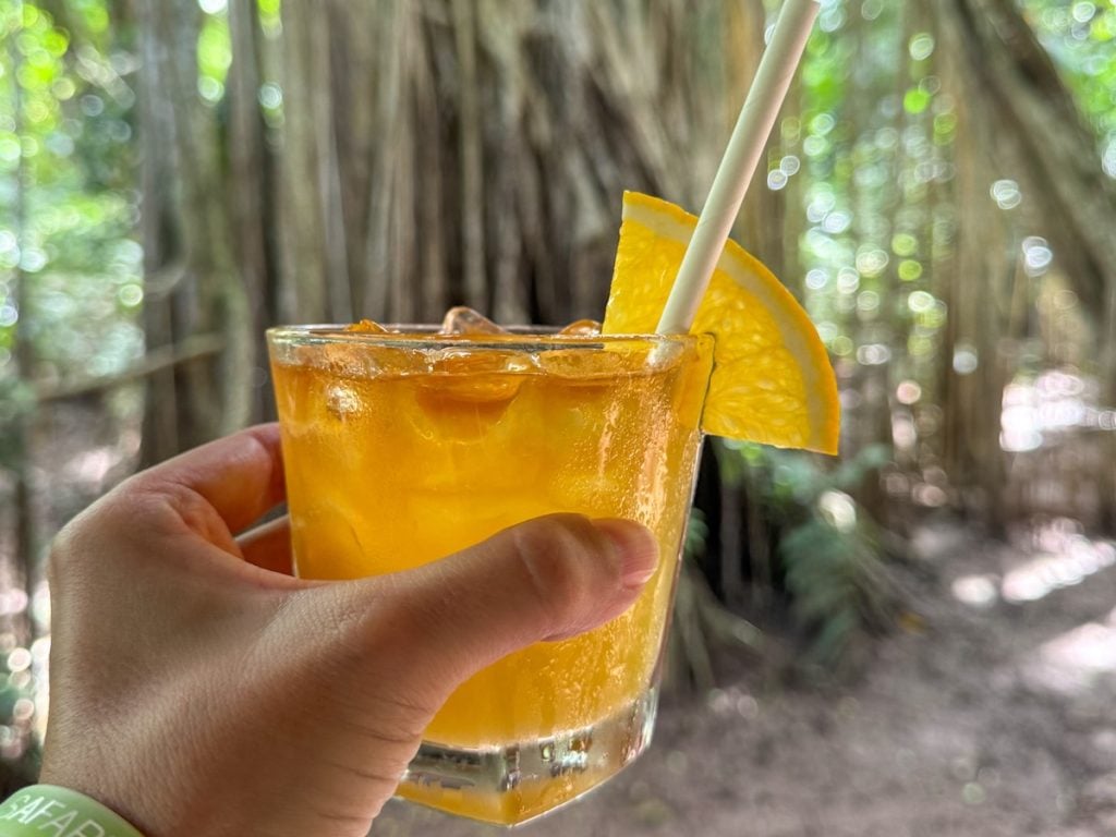 Check out this Kauai Rum Safari review by top Hawaii blog Hawaii Travel with Kids. Image of a glass of Mai Tai in front of a tree in the jungle