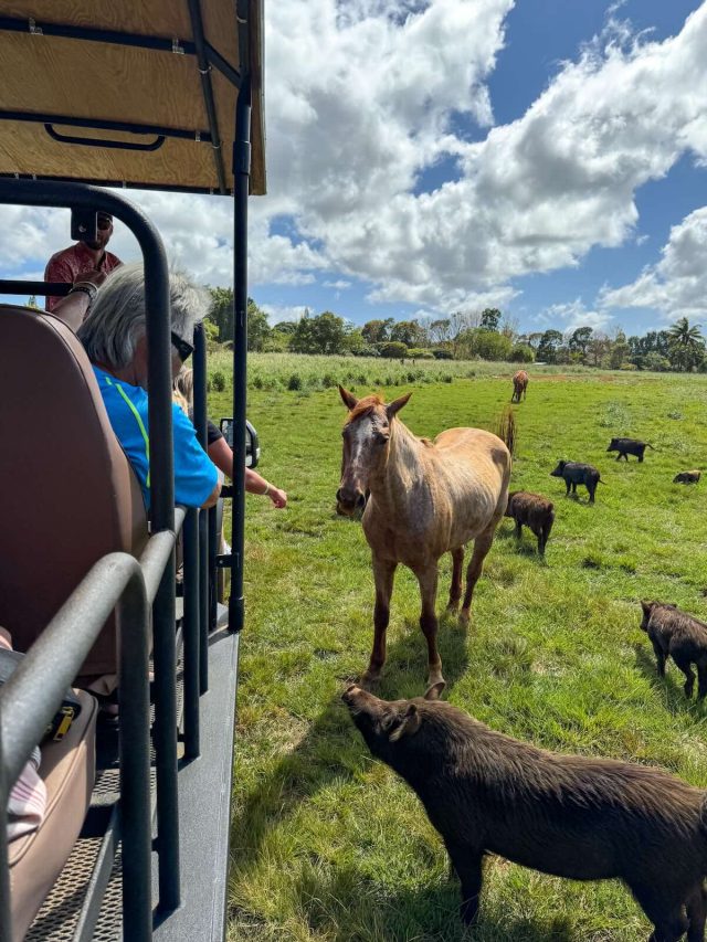 Is the Kauai Rum Safari Worth It?