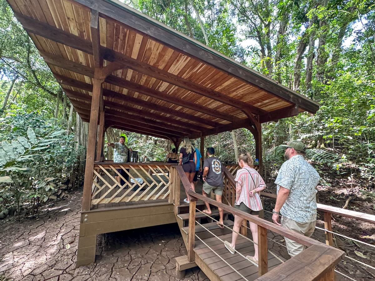 Is the Kauai Rum Safari Worth It?